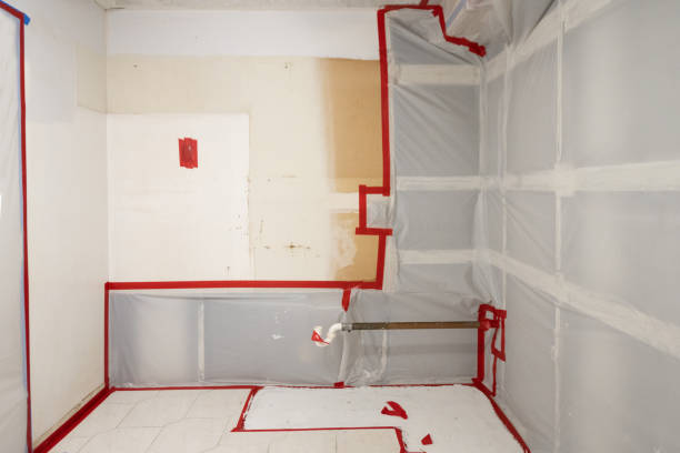 Best Attic Mold Removal  in North Bonneville, WA