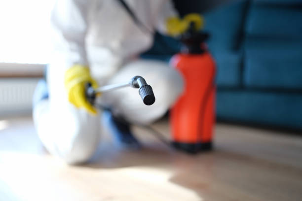 Best Basement Mold Removal  in North Bonneville, WA